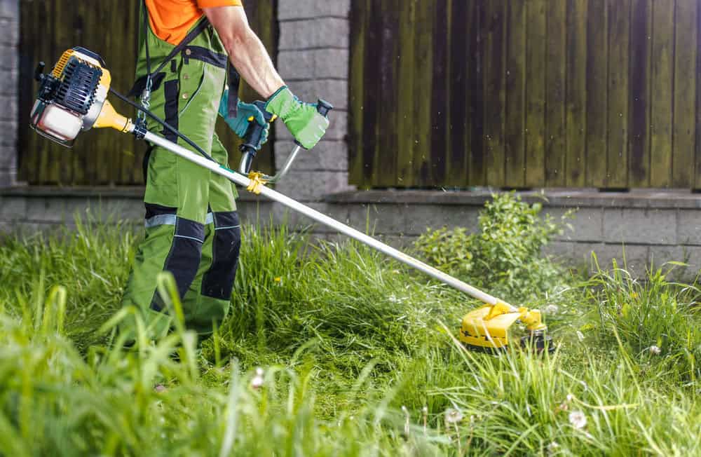 tarif débroussaillage dans un jardin